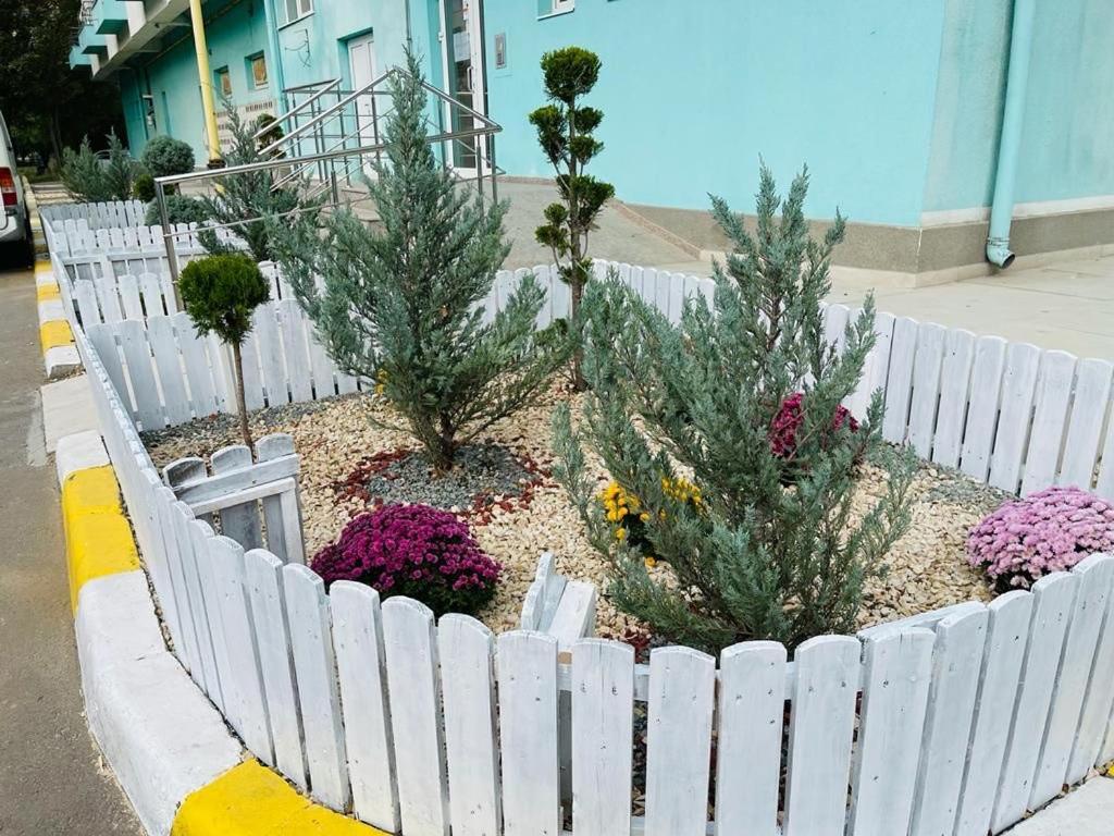 Apartament Summerland Mamaia Nord Buitenkant foto